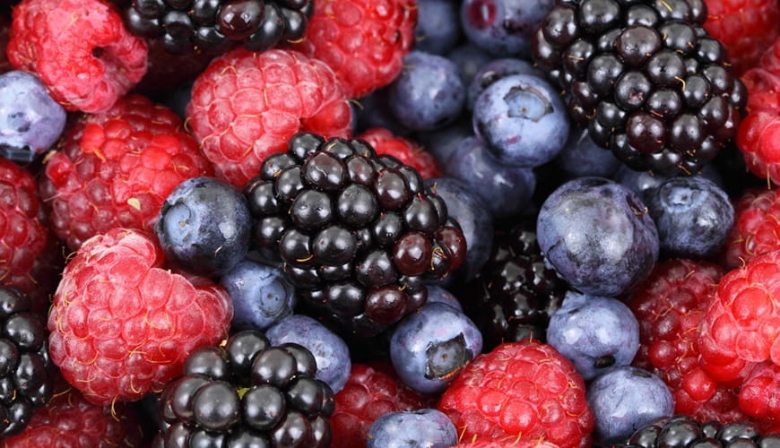 The Exodus Experience - 90 Day Purification Protocol - No Weight-Loss Plan - Phase 05